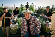 Growing Belushi Discovery: Release Date/Time, Jim Belushi Cannabis Show