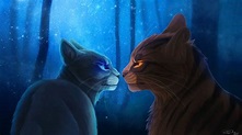 Warrior Cats Backgrounds And Wallpapers - Wallpaper Cave