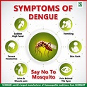 dengue fever warning signs - Sam Hunter
