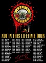 Not in this lifetime 2017 - finally after 30 yrs. of waiting! | Guns n roses, Gnr, Rock n roll art