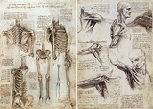 Leonardo da Vinci - the Anatomical Artist - Drawing Academy | Drawing ...