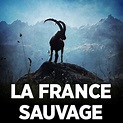 Télécharger La France sauvage [ 1 épisodes ]