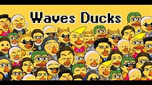 Waves Ducks: Intro Quack - YouTube
