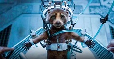 PETA premia a James Gunn por crear conciencia sobre maltrato animal con ...