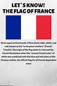 THE FLAG OF FRANCE | France flag, Flags of the world, Flag