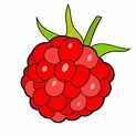Raspberry Sketch Vector Ready For Your Design, Greeting Card 633944 ...