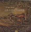James Gang Straight Shooter Records, LPs, Vinyl and CDs - MusicStack