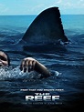 The Reef - Film (2011) - SensCritique
