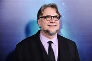 Guillermo del Toro Wins Big at the Directors Guild Awards | Vanity Fair