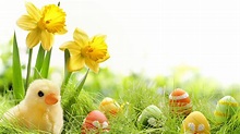 Chicks Easter Wallpapers - Wallpaper Cave