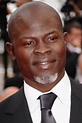 Djimon Hounsou Personality Type | Personality at Work