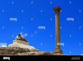 La Columna de Pompeyo en Alejandría Egipto Fotografía de stock - Alamy