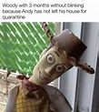 64+ Meme Woody Toy Story