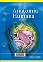 Anatomía humana. Tomo 2 / Michel Latarjet, Alfredo Ruiz Liard. Buenos ...