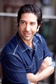 David Schwimmer - Biography - IMDb