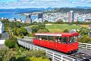 20 cosas que hacer en Wellington (Nueva Zelanda) | Los Traveleros