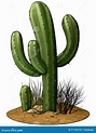 Cactus for a Wild West Scene Stock Photo - Illustration of cowboys ...