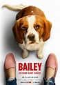 Bailey - Ein Hund kehrt zurück | Bild 23 von 34 | Moviepilot.de