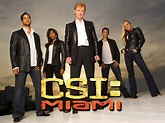 CSI Miami : series y peliculas 1