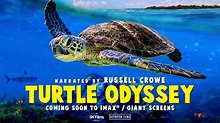 TURTLE ODYSSEY - OFFICIAL TRAILER - COMING SOON - YouTube