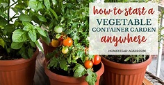 Vegetable Container Gardening For Beginners - Homestead Acres
