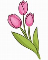 Ramo de tulipanes clipart dibujos animados descargar gratis – Artofit