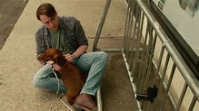 Trailer de la película Wiener-Dog - 'Wiener-Dog'- Tráiler oficial ...