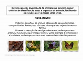 Plano de aula - 3o ano - Os animais e suas características