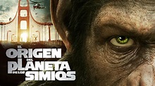 El origen del Planeta de los Simios | Disney+