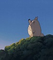 Totoro Mi Vecino Totoro GIF - Totoro Mi Vecino Totoro Bye - Discover ...