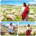 Parábola de la oveja perdida | Evangelio, Imágenes religiosas, Biblia