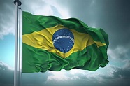 52 interessante Fakten über Brasilien ᐈ MillionenFakten