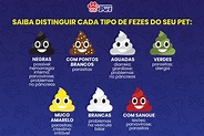 Tipos De FEZES De CACHORRO Como Identificar Problemas, 60% OFF