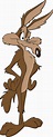 Coyote Looney Tunes Characters, Looney Tunes Cartoons, Classic Cartoon ...