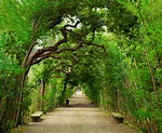 Jardín de Boboli Florencia, Giardino di Boboli, visitas, horario ...