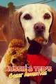 Aussie & Ted's Great Adventure | Rotten Tomatoes