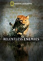 Relentless Enemies (Video 2006) - IMDb