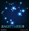 The sagittarius zodiac sign of the beautiful Vector Image