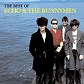 ‎The Best of Echo & the Bunnymen - Album by Echo & The Bunnymen - Apple ...