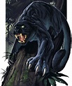 Fey panther | Forgotten Realms Wiki | Fandom