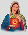 Virgen María (Rosa Mística): Del dibujo a lápiz a la ilustración ...