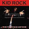 Album Art Exchange - The Polyfuze Method by Kid Rock - Album Cover Art
