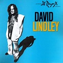 1981 David Lindley – El Rayo-X | Sessiondays