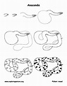 Anaconda drawing lesson would be fun to fill with patterns and colors ...