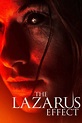 ‎The Lazarus Effect (2015) directed by David Gelb • Reviews, film ...