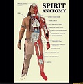 Spirit Anatomy - SPIRIT ANATOMY SWEET GRASS HAIR PEYOTE BUTTON INSIGHT ...