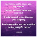 Pin by Carol Stephens on Purple (Shared Board) | Prince purple rain ...