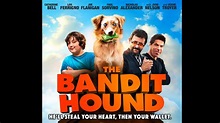 The Bandit Hound Official Trailer - YouTube
