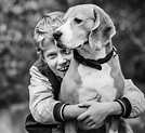 El Muchacho Sonriente Feliz Abraza Su Perro Del Beagle Del Mejor Amigo ...