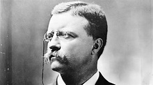 How Teddy Roosevelt Ascended in New York Politics | HISTORY